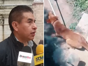 Perro con rabia atacó a 15 personas en Vinto; reciben tratamiento y vacunación