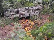 Camión cargado con GLP cae a un barranco en Coripata y deja un herido