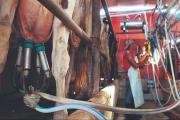 Producir leche ya no da ganancias y los productores luchan contra alza de costos