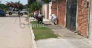 Testigos aseguran que un hombre delgado y con lentes fue quien dejó un feto en un basurero