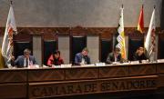 Senado sanciona Ley de Alivio Tributario y la envía a promulgación