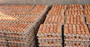 Bloqueos frenan la distribución de huevos; granjas de Cochabamba acumulan su producción