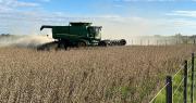 Productores de oleaginosas y trigo reportan pérdidas de $us 80 millones por los bloqueos