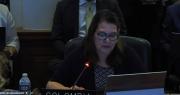 En la OEA: Colombia lamenta expulsión de su embajadora y dice que puede contribuir a una salida pacífica a los conflictos en Bolivia