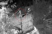 ¡Me dispararon!: joven pidió ayuda antes que delincuentes lo asesinaran en Montero