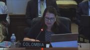 Colombia lamenta en la OEA expulsión de su embajadora, pero apuesta a contribuir a una salida pacífica