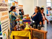 Ecofuturo impulsa la autonomía de mujeres apicultoras del Chaco en el Día Mundial de las Abejas