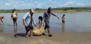 Expectativa en Villa Montes por un nuevo cardumen de sábalo
