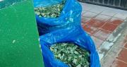 Coca de los Yungas que iba a otros departamentos quedó parada en los bloqueos, señala Adepcoca