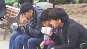 Siete de cada 10 jóvenes ganan menos de Bs 2.500 por mes y quieren migrar