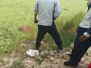 Van a pescar a una laguna y hallan el cadáver de un hombre