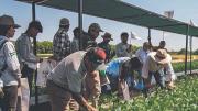 El cuarto censo agropecuario perfila tener 158 preguntas en 17 secciones