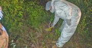 Identifican a la mujer hallada sin vida en una zanja y con 38 cápsulas de droga en su organismo