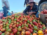 Crisis golpea al agro de los Valles: productores pierden capital y comienzan a emigrar