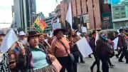 Queremos trabajar: gremiales marchan contra los bloqueos en La Paz