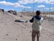 Migrante venezolano fallece en frontera entre Chile y Bolivia