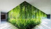 Tercera lección: Diseño biofílico en casas y oficinas