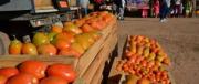 Productores denuncian ‘asfixia’ por los bloqueos