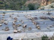 Perjuicios por bloqueos se expanden a Santa Cruz y Cochabamba y golpean al sector industrial y productivo
