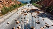 ABC: Bloqueos en carreteras del país afectan la circulación interdepartamental y el abastecimiento de productos básicos
