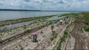 Así afectará a América Latina el nuevo episodio de El Niño