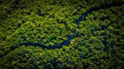 ANÁLISIS Las elecciones presidenciales y el futuro de la Amazonía Enrique G. Ortiz