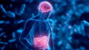 El intestino que piensa: la revolución científica que conecta la microbiota con la salud mental