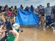 Beni: Liberan a 2 mil tortuguitas de peta de río en el Día Mundial del Medio Ambiente