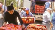 Alcaldía de El Alto anuncia la llegada de siete toneladas de carne de pollo