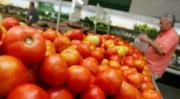 Tomate por las nubes: la caja llega a Bs 500 en Cochabamba por desabastecimiento en mercados