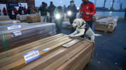 Incautan en Chile 108 toneladas de droga impregnada en madera; sospechan que la carga salió de Bolivia