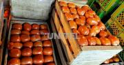 Precio del tomate baja a Bs 3 el kilo en Santa Cruz de la Sierra en medio de los bloqueos