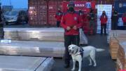 Chile incauta 1.080 toneladas de madera impregnada con droga, el cargamento venía de Bolivia