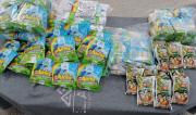 Alcaldía de El Alto desmiente pago de Bs 100 por desayuno escolar