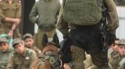 Denuncia de violaciones con perros a palestinos desata debate en la comunidad judía