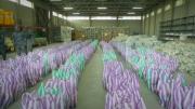 Oficina de la Primera Dama gestiona 600 kits alimenticios para familias vulnerables de La Paz y El Alto