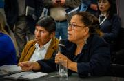Diputada Zurita impulsa investigación por presuntas irregularidades en el uso de recursos económicos de la Alcaldía de La Paz.