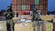 Droga en madera: la ABT inicia verificación de las empresas exportadoras y sus operaciones