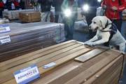 ASP-B aclara que cargamento de madera impregnado con droga incautado en Arica no fue operado por la institución