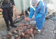 Alcaldía de El Alto investiga el hallazgo de restos óseos en un contenedor de basura de Río Seco