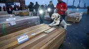 Hallazgo de droga oculta en madera revela colusión criminal en Bolivia