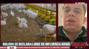 Bolivia logra certificación internacional como país libre de influenza aviar