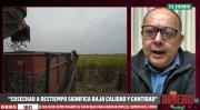 Zafra de caña de azúcar corre riesgo debido al bloqueo de caminos