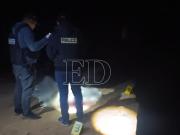 Matan a dirigente secuestrado en Yapacaní; fue acribillado