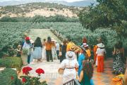 La agroindustria surge como el ‘oxígeno económico’ para Tarija