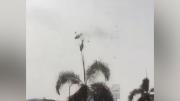 Dos helicópteros colisionaron en Río de Janeiro y dejan seis fallecidos
