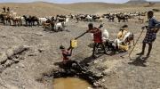 La mitad de la infancia mundial afronta al menos tres amenazas climáticas, según Unicef