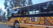 PumaKatari y ChikiTiti vuelven a operar en La Paz con horarios especiales, dice Dockweiler