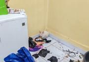 Rescatan a dos perros y un conejo que estaban expuestos a marihuana en un centro de acopio