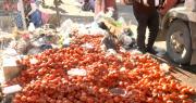Bloqueos: Productor desecha cajas de tomate tras demorar 15 días en llegar de Santa Cruz a La Paz
